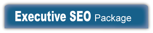 executive seo header